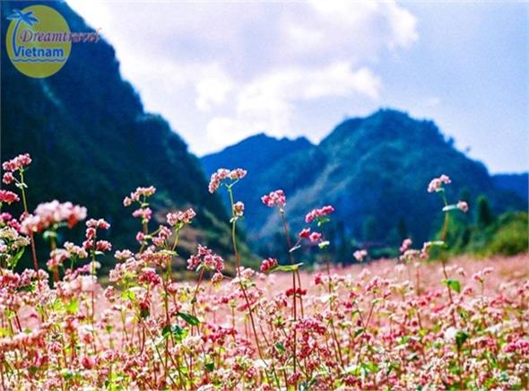 Tour du lịch Hà Giang từ Hà Nội (thứ 6 hàng tuần) Tour du lịch Hà Giang từ Hà Nội (thứ 6 hàng tuần)